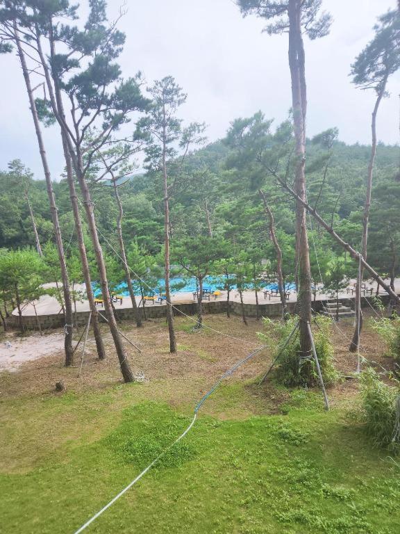 Sokcho Daemyung Heidi Pension Dış mekan fotoğraf